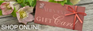spa gift cards